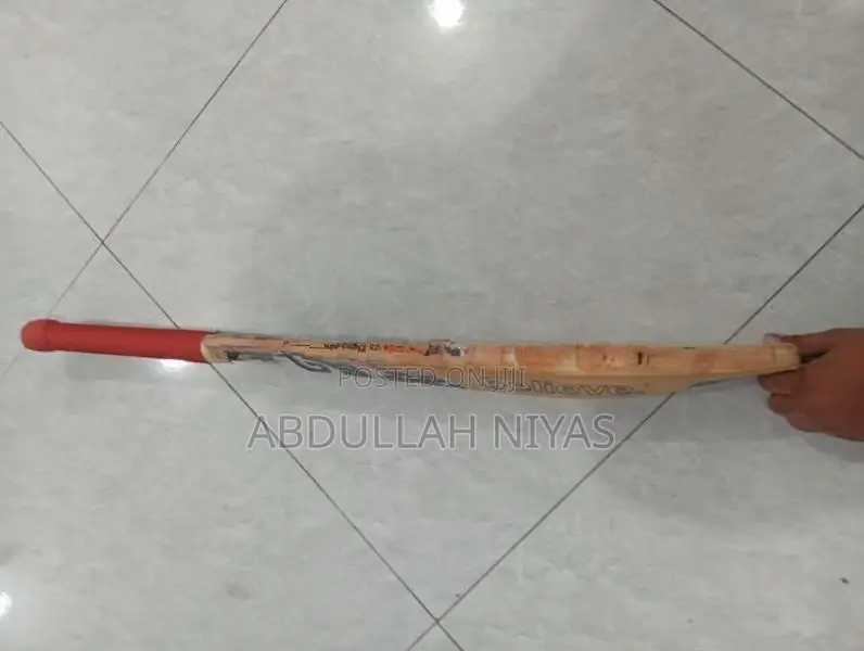 SG Cricket Bat | English willow
