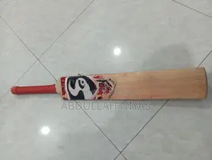 SG Cricket Bat | English willow