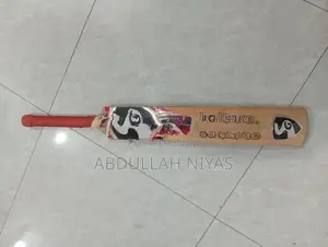 SG Cricket Bat | English willow