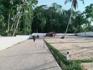 ගම්පහ අගනා බිම් කොටස්