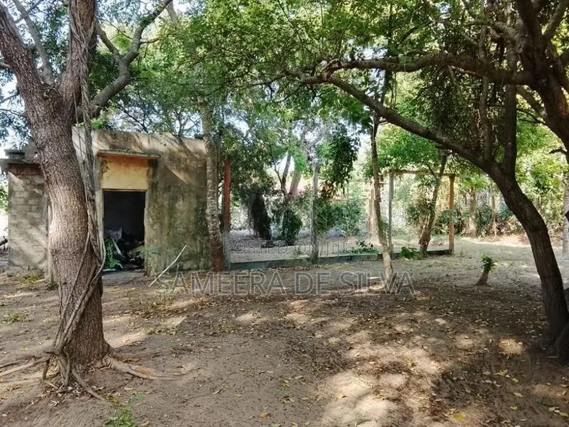 Prime Arugam Bay Hotel for Sale