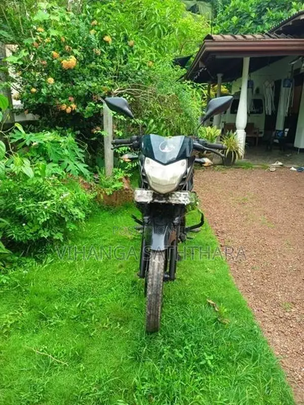 Bajaj Pulsar 135 2013