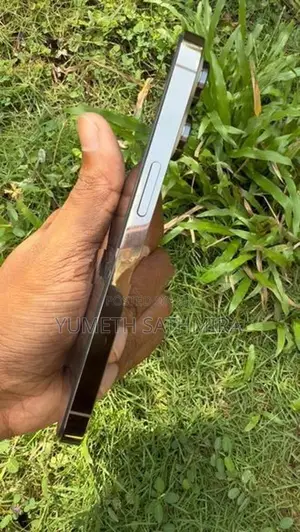 Apple iPhone 14 Pro (Used)