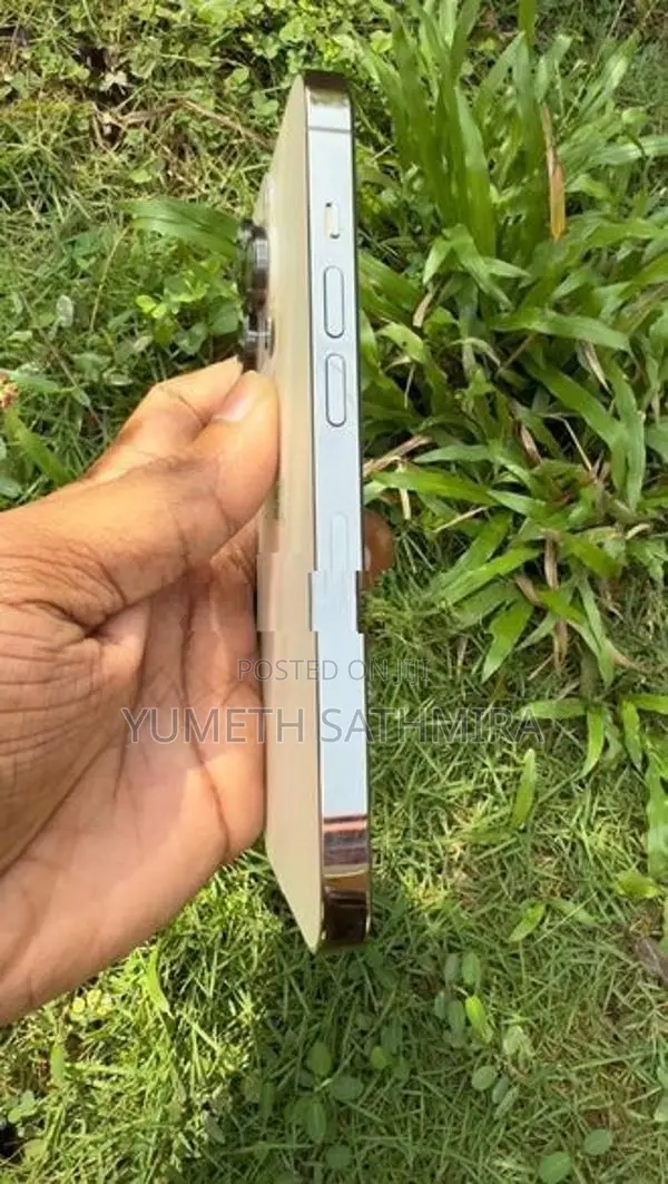 Apple iPhone 14 Pro (Used)