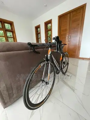 Trinx Swift 1.0 Road Bike