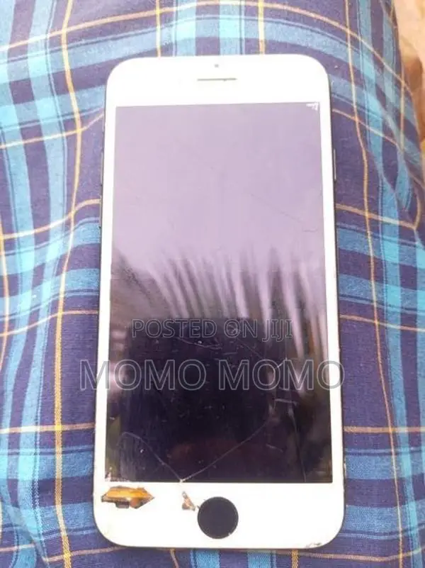 Apple iPhone 7 (Used)