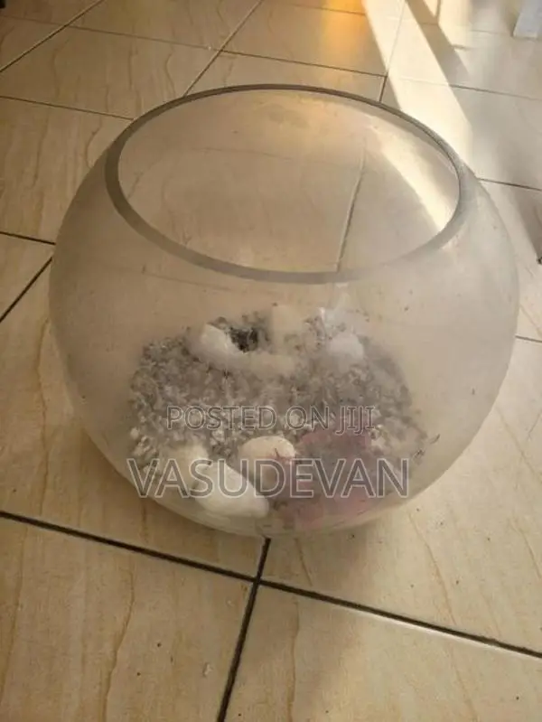 Fish Tank