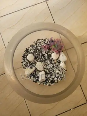 Fish Tank