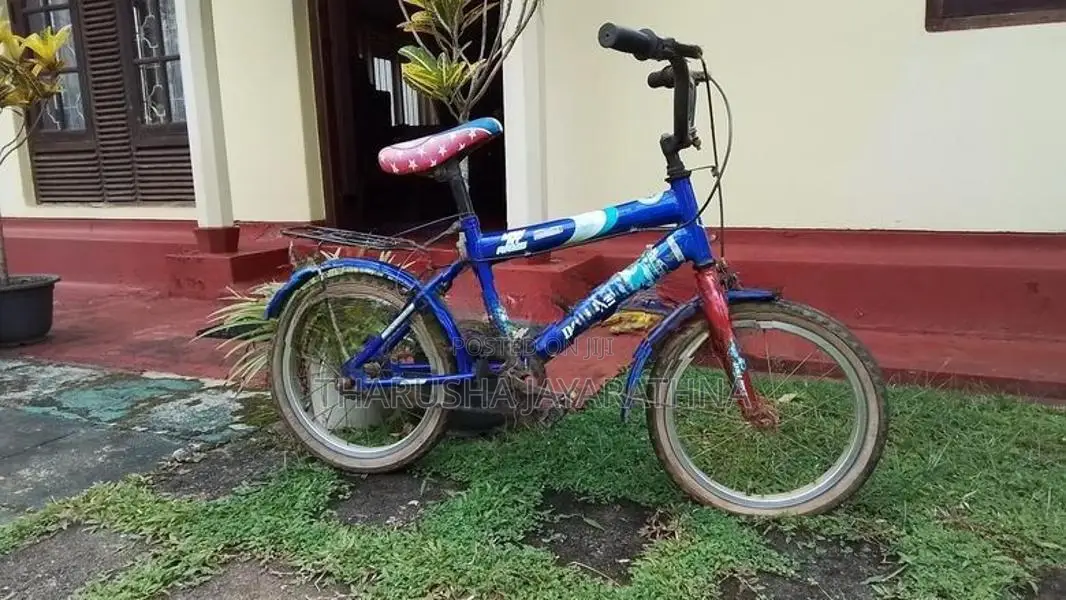 Used DSI Bicycle