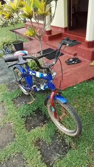 Used DSI Bicycle