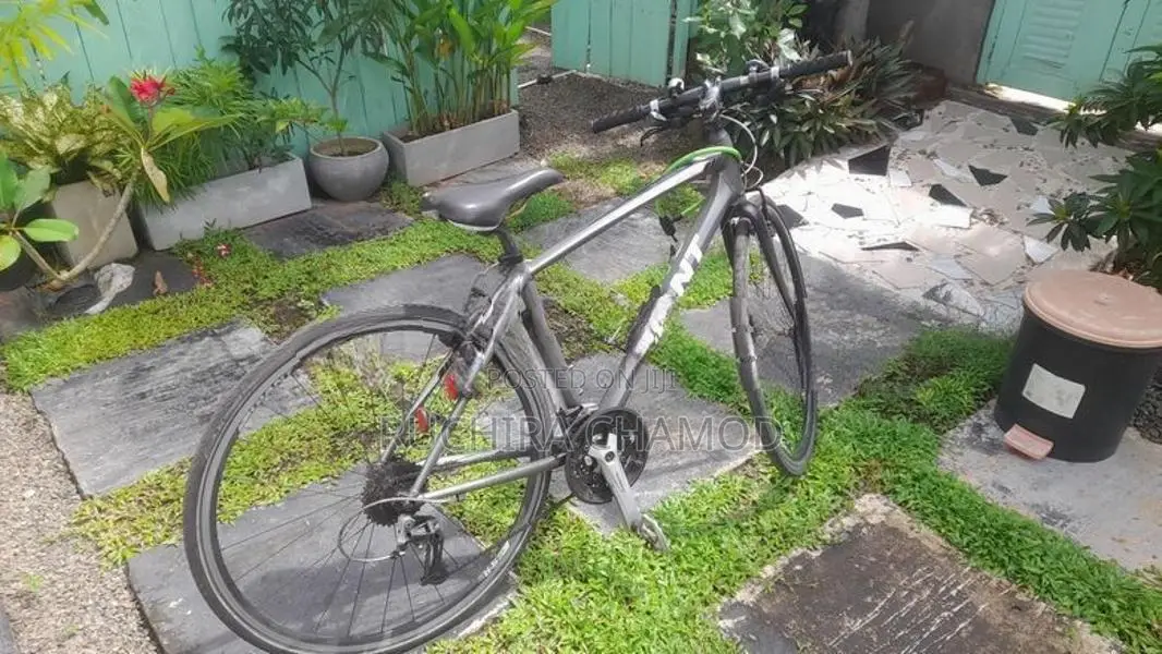 Gaint Bicycle