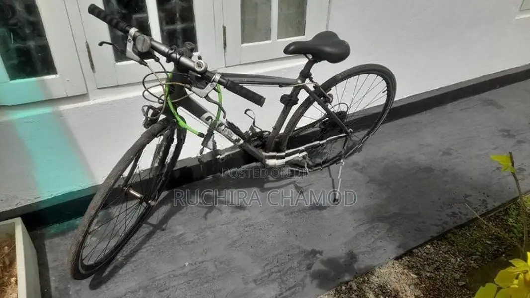Gaint Bicycle
