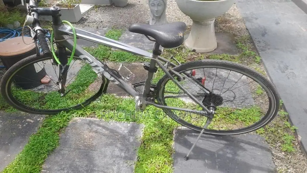 Gaint Bicycle