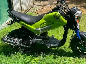 Honda Navi 2017