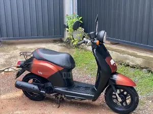 Honda Today 2024