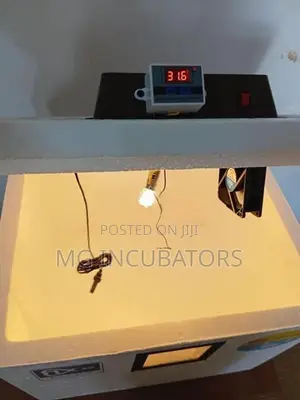 Egg Incubator