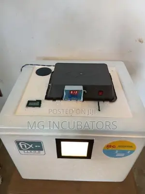 Egg Incubator