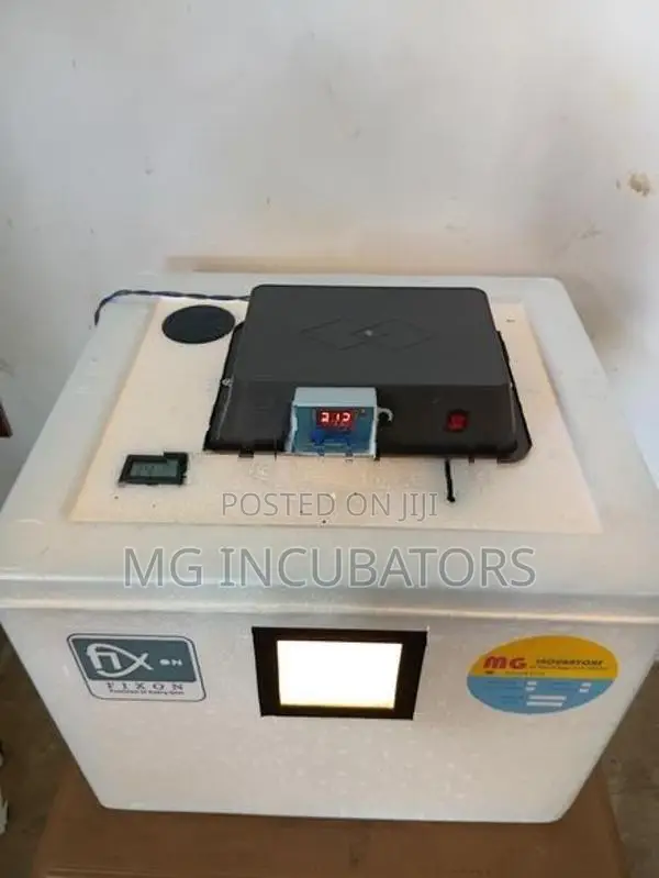 Egg Incubator