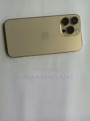 Apple iPhone 13 Pro (Used)