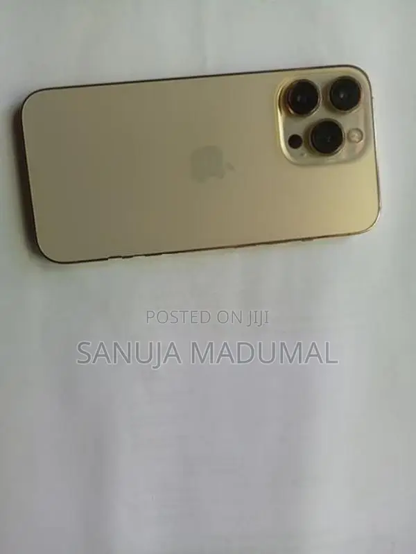 Apple iPhone 13 Pro (Used)