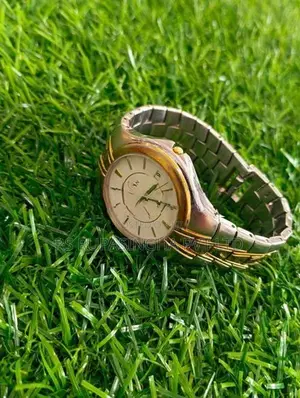 Titan Gentlemen Hand Watch
