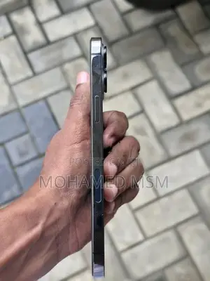 Apple iPhone 12 Pro Max (Used)