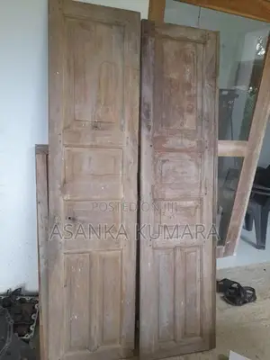 Old Door with Windows