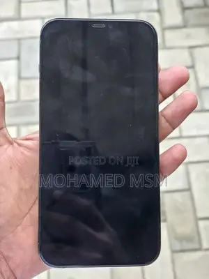 Apple iPhone 12 Pro Max (Used)