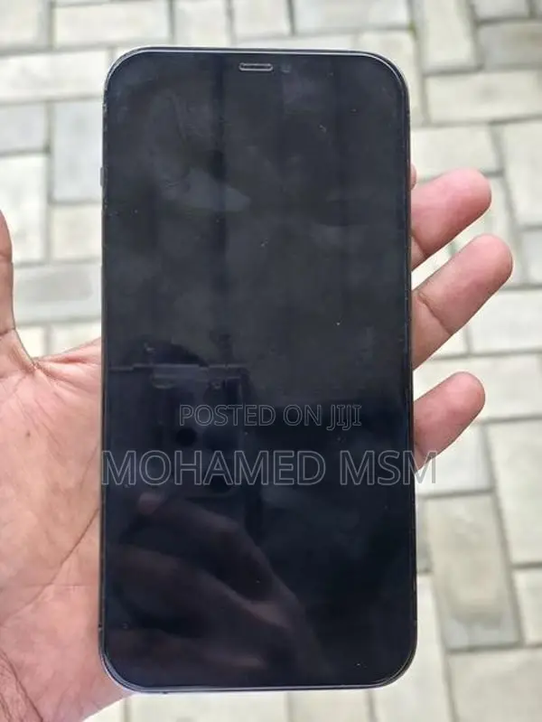 Apple iPhone 12 Pro Max (Used)