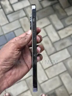 Apple iPhone 12 Pro Max (Used)
