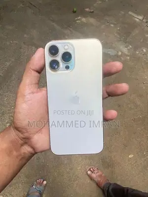 Apple iPhone 13 Pro Max (Used)