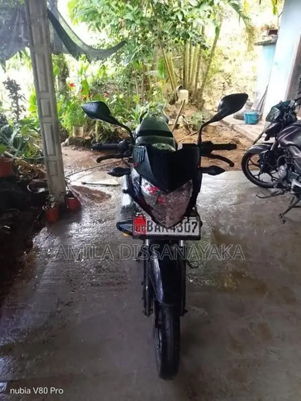 Bajaj Pulsar 135 2013