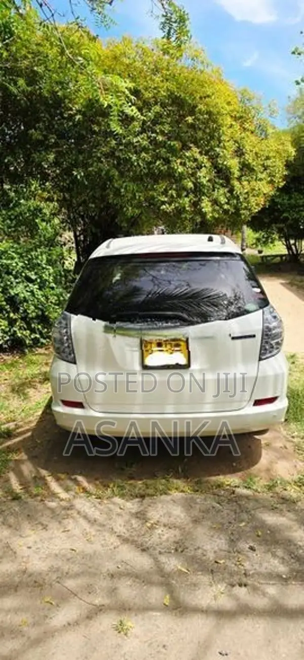 Honda Fit Shuttle GP 2 2013
