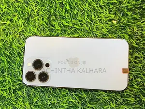 Apple iPhone 13 Pro (Used)