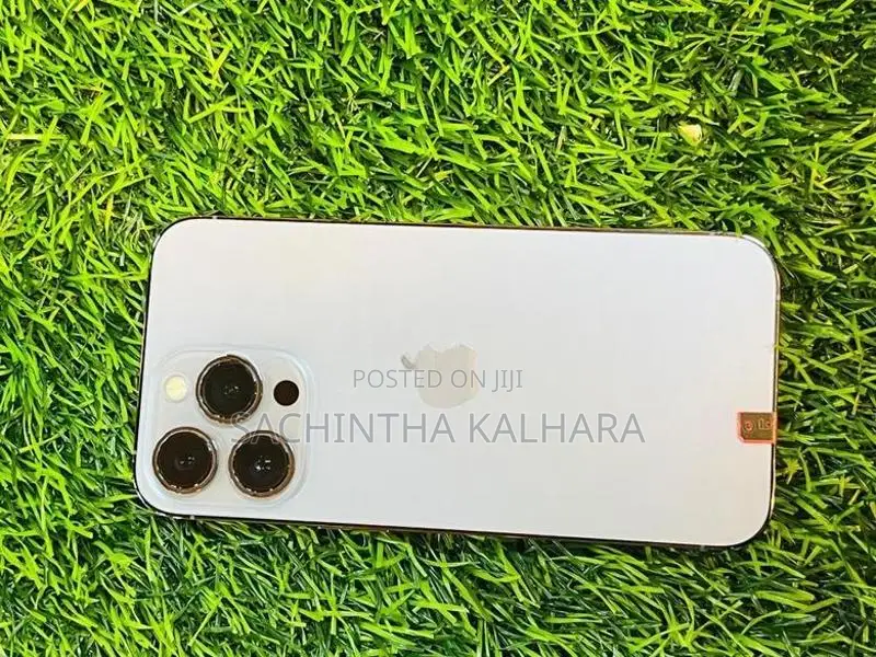 Apple iPhone 13 Pro (Used)