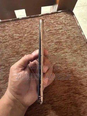 Apple iPhone XS Max 512GB (Used)