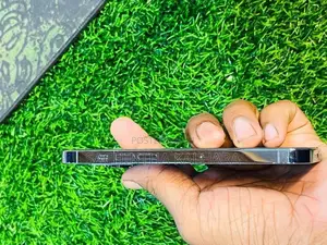 Apple iPhone 13 Pro (Used)