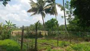30 Perches - Furnished House for Sale in Battaramulla HL43147