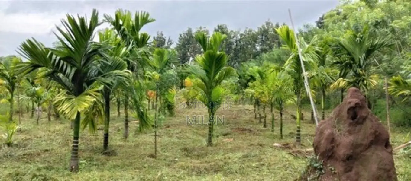 Land with House for Sale Matale
