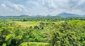 Land with House for Sale Matale