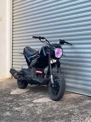 Honda Navi 2019