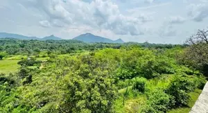 Land with House for Sale Matale