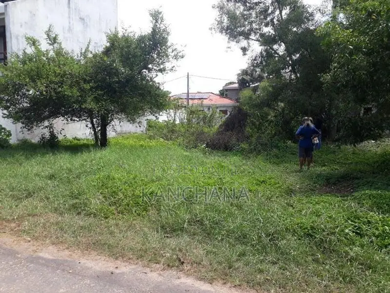 Land for Sale Kandana