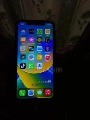 Apple iPhone X 256GB (Used)
