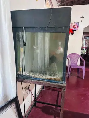 Fish Tanks