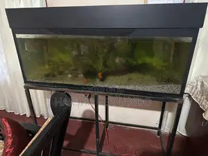 Fish Tanks