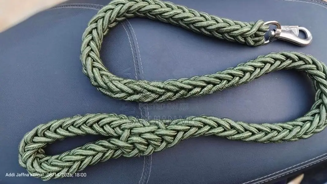Dog Leash Belt