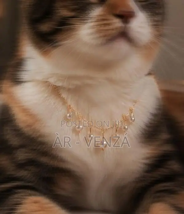 Pearl Drop Necklace