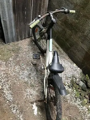 Lumala Mountain Bicycle