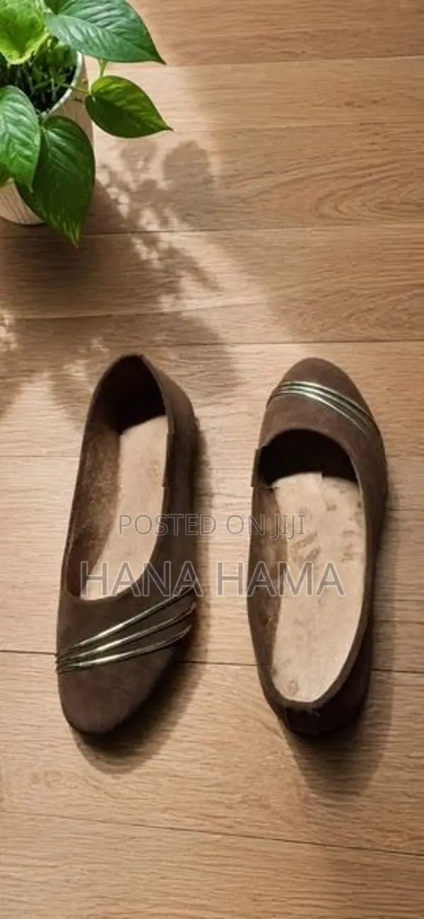 Coat Shoe